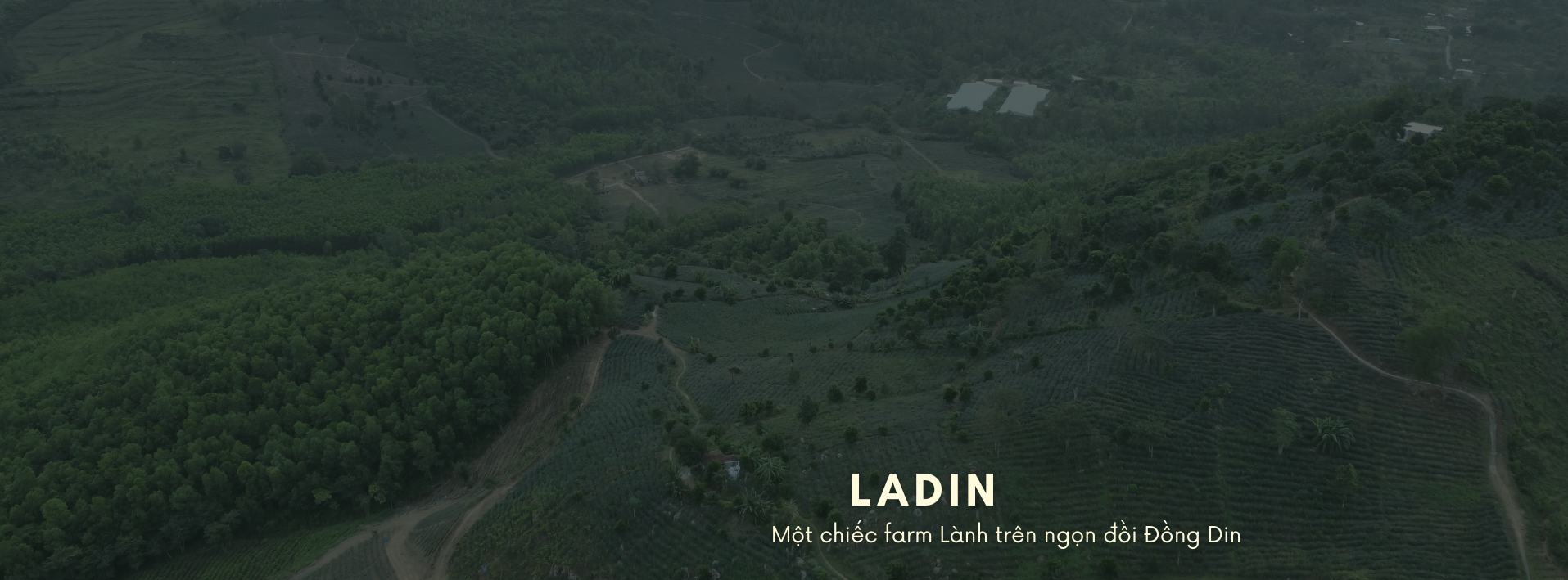 Toàn cảnh Ladin Farm thung lũng Đồng Din Phú Yên