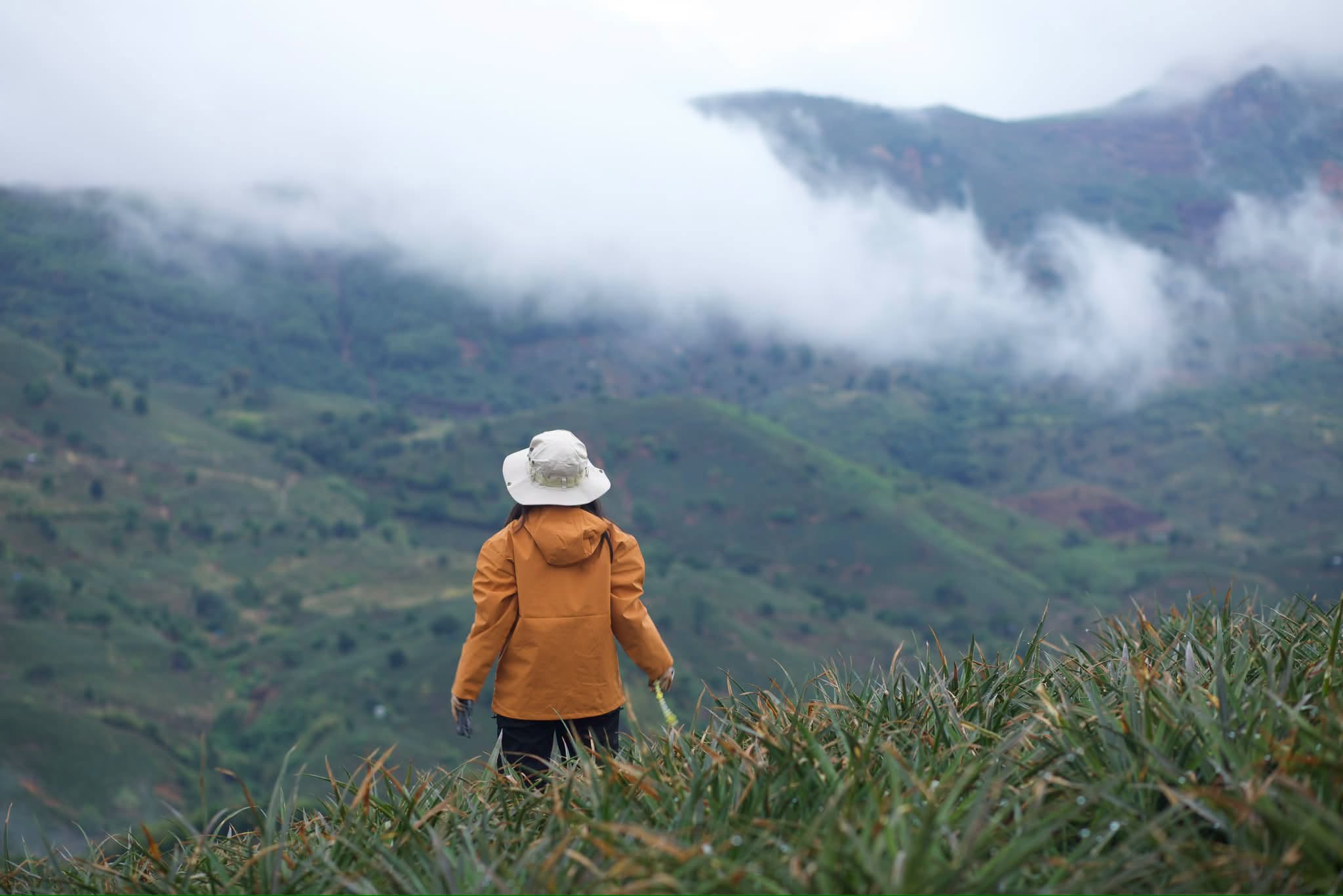 Sương mù và đồi núi thung lũng Đồng Din