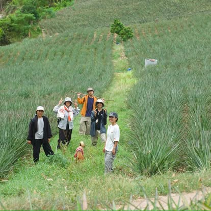Hoạt động trải nghiệm gần gũi thiên nhiên tại Ladin